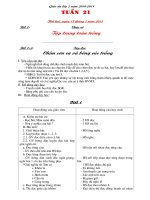 Gián án Giao an 2 ckt t 21 (quý sâm)