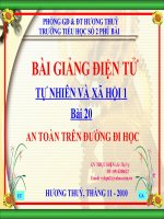 Bài giảng Hoat dong o lop