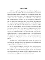 NỘI DUNG CHỦ yếu của PHÁP LUẬT về cải CÁCH HÀNH CHÍNH 