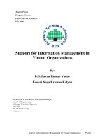 Tài liệu Support for Information Management in Virtual Organizations doc
