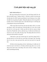 Tài liệu Cách phát hiện mật ong giả pptx