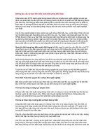 Tài liệu Những yêu cầu và thực tiễn kiểm soát chất lượng kiểm toán pptx