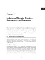 Tài liệu Chapter 2: Indicators of Financial Structure, Development, and Soundness ppt