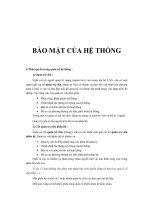 Tài liệu Bảo mật của hệ thống pdf