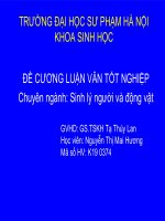Tài liệu de cuong luan van ThS