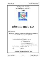 Tài liệu Đề tài 