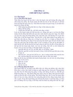 Tài liệu Sản xuất hạt giống và công nghệ hạt giống - Chương 11 ppt