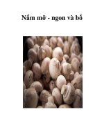 Tài liệu Nấm mỡ - ngon và bổ doc