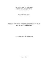 Nghiên cứu định tính phương trình vi phân đại số ngẫu nhiên itô 