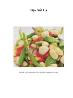 Tài liệu Đậu Sốt Cà pdf