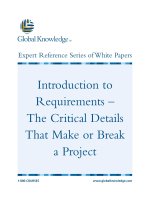 Tài liệu Introduction to Requirements – The Critical Details That Make or Break a Project doc