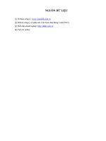 XÂY DỰNG CHIẾN lược KINH DOANH CÔNG TY VINAMILK 