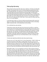 Tài liệu Nhà tạo lập thị trường doc