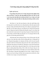 Tài liệu Cách dùng màng phủ nông nghiệp để trồng dưa hấu docx