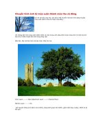 Tài liệu Chuyển hình ảnh từ mùa xuân thành mùa thu và đông doc