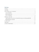 So sánh tỉ lệ hấp thụ đặc trưng trong mô hình người ảo SAM và các mô hình đầu trẻ em ở 835 và 1900 mhz 