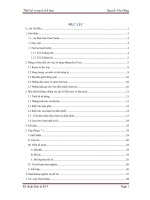 Những hệ thống và cấu trúc của đường truyền vô tuyến tần số cao 