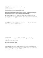 Tài liệu Hướng dẫn cách sử dụng Internet download Mannager pdf