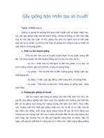 Tài liệu Gây giống bán nhân tạo sò huyết pptx