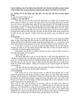 Những yếu tố tác động trực tiếp đến việc thu hút vốn đầu tư nước ngoài (FDI) phân tích các giải pháp mở rộng thu hút nhanh vốn FDI tại việt nam 