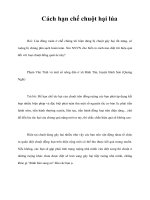 Tài liệu Cách hạn chế chuột hại lúa pptx