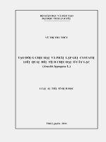 Tạo dòng chịu hạn và phân lập gen cystatin liên quan đến tính chịu hạn ở cây lạc (arachis hypogaea l ) 
