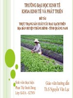 Slide THỰC TRẠNG sản XUẤT cây RAU SẠCH TRÊN địa bàn HUYỆN THĂNG BÌNH   TỈNH QUẢNG NAM 