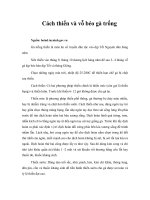 Tài liệu Cách thiến và vỗ béo gà trống doc