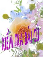 Gián án Tập đọc kể cho be nghe ( Tuần 31 )