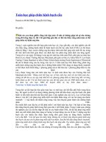 Bài soạn Toán học giúp chữa bệnh bạch cầu