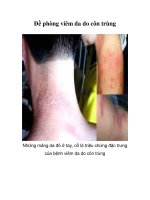 Tài liệu Đề phòng viêm da do côn trùng pdf