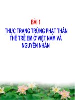 Tài liệu Bài 1: Thực trạng TPTT trẻ em tại VN và nguyên nhân