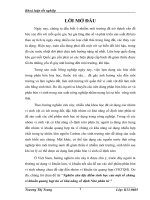 Khóa luận nghiên cứu đặc điểm sinh học của một số chủng vi khuẩn quang hợp tía có khả năng cố định nitơ phân tử 