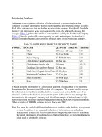 Tài liệu Introducing Databases doc