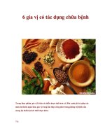 Tài liệu 6 gia vị có tác dụng chữa bệnh ppt