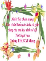 Tài liệu Cô Tô ( Nguyễn Tuân )