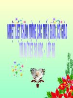 Gián án Tiet 79- So sanh phan so