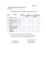 Tài liệu Mẫu tổng hợp kết quả tính điểm và xếp hạng công ty doc