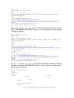 Tài liệu code bồ câu dọc 2 bên wed hoàn thiện