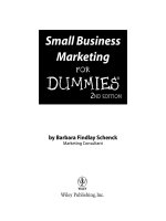 Tài liệu SMALL BUSINESS MARKETING FOR DUMMIES pdf