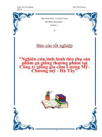 Tài liệu Luận văn tốt nghiệp 