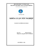 Một số giải pháp nâng cao hiệu quả hoạt động cho vay hộ sản xuất tại chi nhánh ngân hàng nông nghiệp và phát triển nông thôn huyện thủy nguyên 