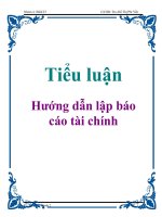 Tài liệu Tiểu luận: Hướng dẫn lập báo cáo tài chính ppt