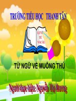 Bài giảng LT&C_T23_TỪ NGỮ VỀ MUÔNG THÚ
