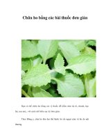 Tài liệu Chữa ho bằng các bài thuốc đơn giản ppt