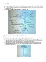 Đề Olymlic 30/04 Sinh học 11_Đề 10