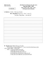 Gián án Đề KTGKII 2010-2011 TV(Viết) 2