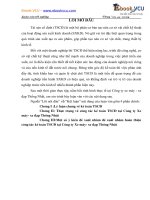 29 chuyen de tot nghiep KT TSCĐ tại cty xe máy   xe đạp thống nhất www ebookvcu com 29VIP 