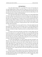 367 hoàn thiện kế toán bán hàng và kết quả bán hàng tại công ty cổ phần phát triển đông phương  