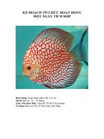 Tài liệu KẾ HOẠCH TỔ CHỨC HOẠT ĐỘNG MỘT NGÀY TÍCH HỢP - Con cá pptx